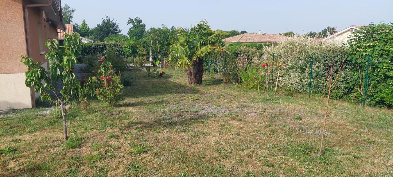 Gite Des Pins Aureilhan  Εξωτερικό φωτογραφία